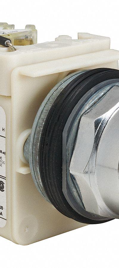 SCHNEIDER ELECTRIC Pilot Light: 30 mm Panel Mounting Size - Incandescent Pilot-Lights