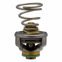 Steam Trap Cage Unit: For Dunham-Bush/Hoffman/Nicholson/Sarco/Warren Webster (MPN 4117). Key specifications — Brand: BARNES & JONES; Product Type: Steam Trap Cage Unit.