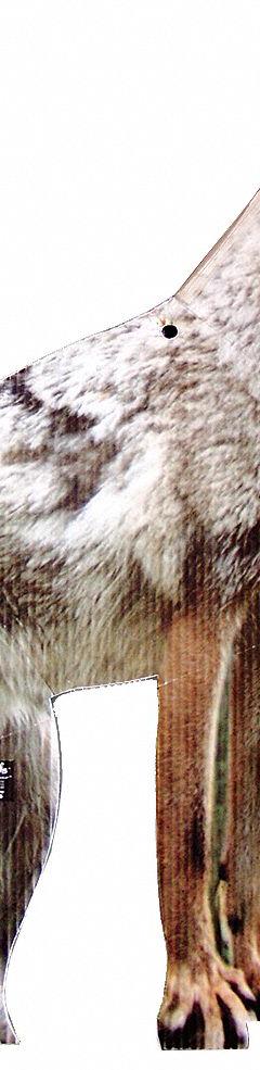 BIRD-X Coyote Decoy: Targets Ducks/Geese/Rodents, 1 acre Coverage Area, Coyote Form (MPN COYOTE). Key specifications — Brand: BIRD-X; Targeted Animals: Rodents; Form: Coyote.