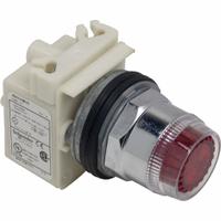 SCHNEIDER Illuminated Push Button: Illuminated, Flush Profile, Non-Metallic, 30 mm, 1NO/1NC (MPN 9001K1L35R). Key specifications — Brand: SCHNEIDER; Action: Momentary; Series: 9001K; Push Button Material Type: Non-Metallic.
