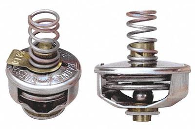 BARNES & JONES Steam Trap Cage Unit: For Hoffman - Thermostatic Cage Units