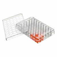 GLOBE SCIENTIFIC Well Plate: Sterile, 48 Wells, 0.29 mL, RNase/DNase Free, Tissue Culture Treated (MPN TC-PLT-48). Key specifications — Brand: GLOBE SCIENTIFIC; Body Color: Colorless; RNase/DNase Free: Yes; Well Shape: Square; Material: Polystyrene.