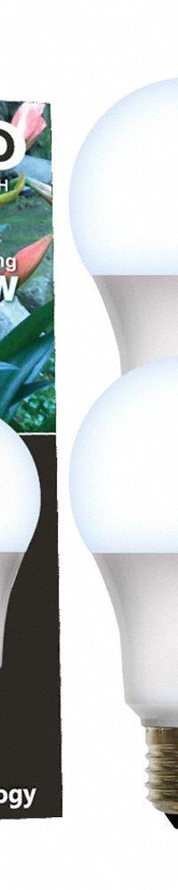 LED Grow Bulb: LED, A19, 120V, Blue/Full/Broad, 100 W Incandescent Watt Equivalency (MPN 601831). Key specifications — Plant Growth Application: Height Control; Brand: MIRACLE LED; Bulb Shape: A19; Spectrum: Blue.