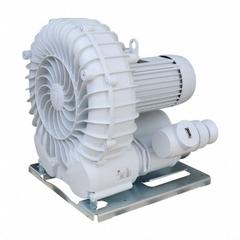 SCHMALZ Vacuum Blower: 440 cu m/hr, 76 mm, 4 in G Female, 10.04.01.00098, SB, Three Phase, 265/460V. Key specifications — attr123938: 10.04.01.00098; attr1014957: 265/460V; attr1014966: 20.6/11.9/19.6/11.5/22.5 A.