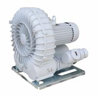 SCHMALZ Vacuum Blower: 440 cu m/hr, 76 mm, 4 in G Female, 10.04.01.00098, SB, Three Phase, 265/460V. Key specifications — attr123938: 10.04.01.00098; attr1014957: 265/460V; attr1014966: 20.6/11.9/19.6/11.5/22.5 A.