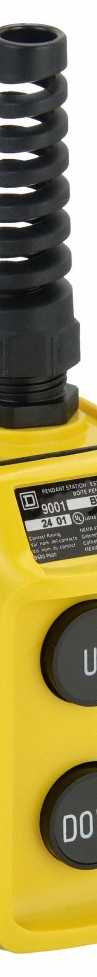 SQUARE D Pendant Control Station: (2) Push Buttons, 2NO, Up/Down, NEMA 4, (2) Push Buttons (MPN 9001BW92Y). Key specifications — AC Contact Rating: 1.5 A @ 240 V; Action: Maintained/Momentary; DC Contact Rating: 0.55 A @ 240 V; Enclosure Material: Thermoplastic; Hub Style: Dead-End; Legend: Up/Down; Operator Configuration: (2) Push Buttons; Brand: SQUARE D.