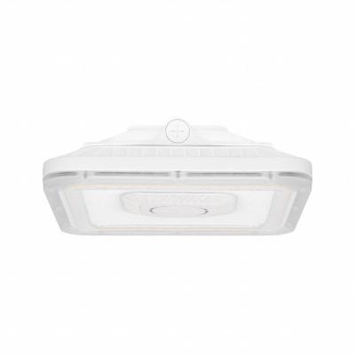 LED Canopy Fixture: LED, 6,400 lm_9,600 lm, 3000K/4000K/5000K, 60 W Fixture Watt - LED Standard Parking Garage & Canopy Lights