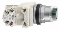 SCHNEIDER Illuminated Push Button: Illuminated, Flush Profile, Non-Metallic, 30 mm, SPDT (MPN 9001K1L1GH13). Key specifications — Brand: SCHNEIDER; Action: Momentary; Series: 9001K; Push Button Material Type: Non-Metallic.