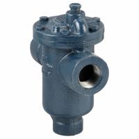 Steam Trap: Cast Iron, 1 in FNPT, 950 lb/hr, 125 psi Max., 450°F Max., Strainer Not Included (MPN 811-100-125). Key specifications — Installation Orientation: Horizontal; Brand: ARMSTRONG INTERNATIONAL; Configuration: In-line.