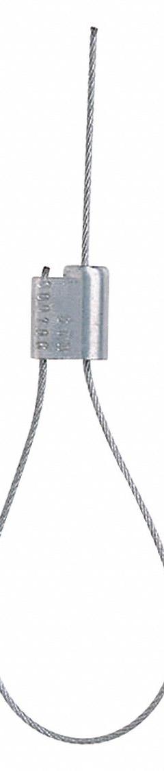 BRADY Cable Seals: Silver, Steel, 12 in Cable Lg, 1/16 in Cable Dia, Sequential, 100 PK (MPN 95166). Key specifications — Brand: BRADY; Marking Color: Silver; Marking Included: Numbers; Marking Message: Sealed; Marking Numbering: Sequential.