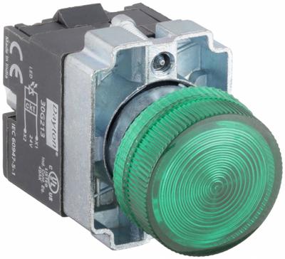 Dayton Pilot Light: 22 mm Panel Mounting Size, Green, LED - LED Pilot-Lights