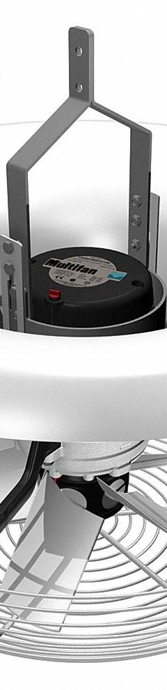 MULTIFAN Ceiling Fan: 3,060 cfm Airflow, 16 in Blade Dia, Variable Speeds, 240V AC, Single Phase (MPN T6E40K0M81160). Key specifications — Voltage: 240V AC; Light Kit: No; Number of Speeds: Variable; Phase: Single; Current: 0.9 A; Brand: MULTIFAN.