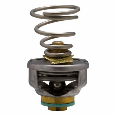 BARNES & JONES Steam Trap Cage Unit: For Dunham-Bush/Hoffman/Nicholson/Sarco/Warren Webster - Thermostatic Cage Units