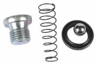 DAYTON Check Valve Kit: 401-44. Key specifications — Manufacturer Part Number: 401-44; Brand: DAYTON; Compatible with Grainger Part Number: 4ZD01J; Product Type: Check Valve Kit.