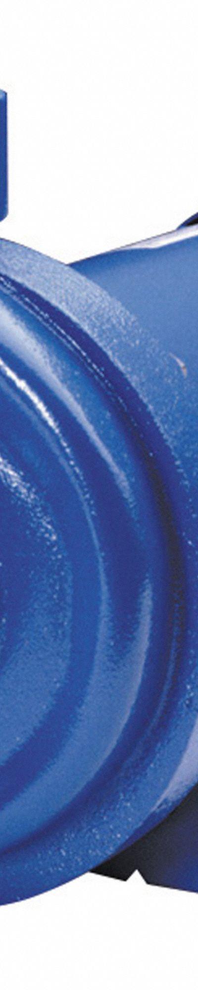 GOULDS WATER TECHNOLOGY Centrifugal Pump: 1 hp - 1 to 1-1/2 HP Straight Centrifugal Pumps