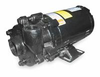 Centrifugal Pump: 1/2 hp, 230/460V AC, 44 ft Max Head, 1 1/4 in , 1 in Intake and Disch (MPN 2ZWP2). Key specifications — Brand: DAYTON; Motor Enclosure Type: ODP.