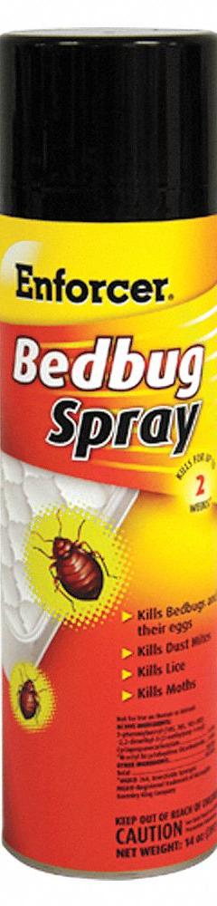 ENFORCER PRODUCTS Bed Bug Killer: For Use On Crawling Insects, Aerosol Spray Can, Indoor Use (MPN EBBK14). Key specifications — Brand: ENFORCER PRODUCTS; Container Type: Aerosol Spray Can; DEET Concentration: DEET-Free; Form: Aerosol Spray; Indoor/Outdoor Use: Indoor; Insect Group: Crawling; Targeted Insects: Bed Bugs.