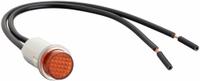 APPROVED VENDOR Raised Panel Light: 12 mm Panel Mounting Hole Dia, Incandescent, Raised Head (MPN 20C842). Key specifications — Brand: APPROVED VENDOR; Electrical Connection: 6 in Wire Leads.