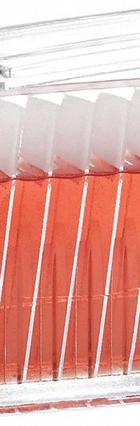 Staining Dish: 16 Sample Capacity, 76 mm Ht, 25 mm Wd, 75 mm Dp, Glass (MPN 900630). Key specifications — Material: Glass; Product Type: Coplin Jar with Cap; Brand: WHEATON.