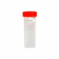 Alcohol Prefilled Coplin Slide Jars: 4 Sample Capacity, 98 mm Ht, 30 mm Wd, Cytology (MPN 3085500E8KE1). Key specifications — Material: Polypropylene Copolymer; Product Type: PAP Jar; Brand: CAPLUGS.