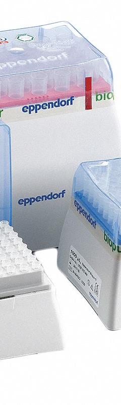 EPPENDORF Pipettor Tip: Non-Sterile, 20 ul Capacity, Preconfigured Rack, No Filter, 960 (MPN 022491512). Key specifications — Brand: EPPENDORF; Material: Biomedical Grade Plastic; Sterility: Non-Sterile; For Pipette Type: Universal; Includes Filter: No Filter; Configuration: Preconfigured Rack.