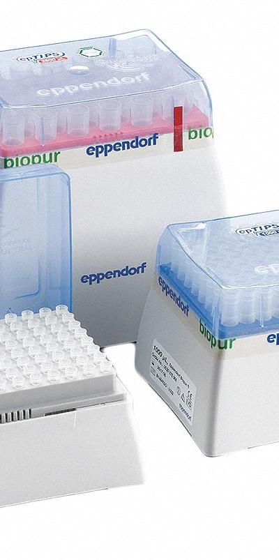 EPPENDORF Pipettor Tip: Non-Sterile - Non-Strerile Pipette Tips