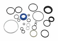 DAYTON Seal Kit: Seal Kit, For Pallet Jacks, For 2PLH8/2PLJ1 (MPN MH2PLH814G). Key specifications — attr1343630: Seal Kit; attr1343631: 2PLJ1; attr1343633: DAYTON; attr1343632: Pallet Jacks.