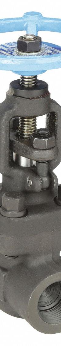 SHARPE Globe Valve: For Steam Media, Carbon Steel, Z-Body, 1 in Pipe Size, FNPT x FNPT, Female, NPT (MPN 4371006390). Key specifications — Brand: SHARPE; Stem: Non-Rising.