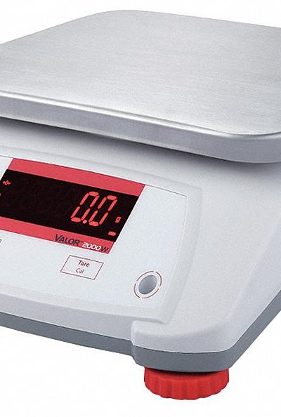 OHAUS Food Scale: 7 1/2 in Weighing Surface Dp - Food Scales