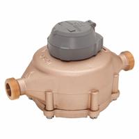 BADGER Positive Displacement Flowmeter: Flow Disc, Water, Bronze, 1 in NPT, 1 in Connection Size (MPN 108-0020). Key specifications — Display Type: Digital; Brand: BADGER; O-Ring Material: Ethylene Propylene; Accuracy: +/-1.5%; Seal Material: EPDM; Unit Of Measure: Gallons.