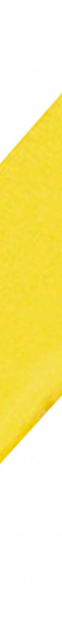 SCHNEIDER Marking Strip: Yellow, 4 mm Size Screw Terminals (MPN NSYTRACS4). Key specifications — Compatible Manufacturer Model Number: NSYTRV; Marking: Energized Warning Label; Compatible with Product Type: 4 mm Size Screw Terminals; Brand: SCHNEIDER.