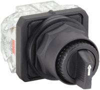 DAYTON Selector Switch: 30 mm Panel Mounting Size, 2 Positions, Extended Lever, 2NO/2NC (MPN 31XH91). Key specifications — AC Contact Rating: 10 A @ 600 V; Action: Maintained/Maintained; Cam: E; DC Contact Rating: 0.55 A @ 125 V; Hazardous Location Specification: Not Rated; Operator Head Material: Plastic; Operator Head Type: Long-Handled Knob; Operator Illumination: Non-Illuminated.