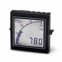 TRUMETER Digital Process Meter: 9 Display Span - Min, 9,999 Display Span - Max, 12 V AC – 24 V AC (MPN APM-PROC-APO). Key specifications — attr1042966: APM-PROC-APO; attr1042969: 0.1%; attr1042981: Red; attr1042982: LCD; attr1042990: Linear and Non-Linear Sensors; attr1042993: 4; attr1043003: Digital Process Meter; attr1043006: APM.