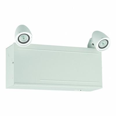 DUAL-LITE Emergency Light: LED, 5 W Lamp Watt, 120/277V AC, 5 W Emergency Watt, Surface - Steel Emergency Lights