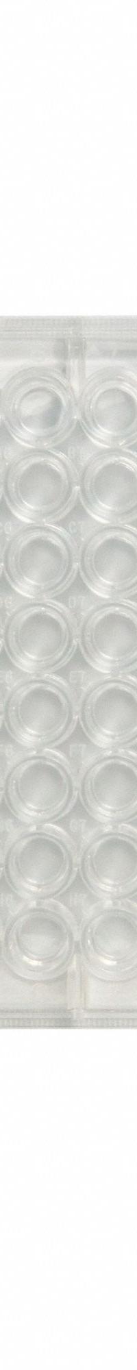 CAPLUGS 96-Well Chamfered Microplates: Non-Sterile, 96 Wells, 0.35 mL, 85 mm Dia, C-Shaped (MPN 290811801CE1). Key specifications — Brand: CAPLUGS; Body Color: Natural; RNase/DNase Free: No; Well Shape: C-Shaped; Material: Polystyrene.