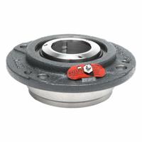 MOLINE BEARING 4 Bolt Flange Bearing: Spherical Roller, 2 15/16 in Bore, Cast Iron, 8 3/4 in Lg (MPN 19631215). Key specifications — Bore Type: Cylindrical; Brand: MOLINE BEARING; Lubricant Material: LC-2 Lithium Complex Grease; Mounting Bolt Size: 5/8 in; Split Housing: Not Split; System of Measurement: Inch.