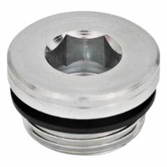 JW WINCO Threaded Plug: Steel, NBR Seal, Type G, 3/8 in Thd, Internal Hex, 22 mm Drive Size (MPN 749-G3/8-A). Key specifications — attr1303757: Steel; attr1303744: JW WINCO; attr1303766: 3/8 in; attr1303749: Internal Hex; attr1303767: Type G; attr1303762: NBR.