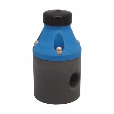 PULSAFEEDER Back Pressure Valve: PVDF/TFE, NPT x NPT - Corrosive & Ultra-Pure Liquids Pressure Regulators