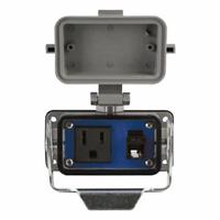 ASI Module: Aluminum, 120V Single AC Receptacle/RJ45, 2 5/8 in (W) x 2 7/8 in (H), 125 V AC (MPN RAI-SAC-201). Key specifications — Manufacturer Part Number: RAI-SAC-201; Brand: ASI; IP Rating: IP65; Panel Configuration: RJ45; Panel Terminations: (1) RJ45.