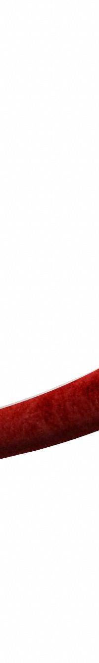 VISIONTRON Barrier Rope: Red, 6 ft Overall Lg, Velvet, Snap End (MPN 847RD72SEHD-PC). Key specifications — Brand: VISIONTRON; Rope Material: Velvet; End Cap Material: Metal.
