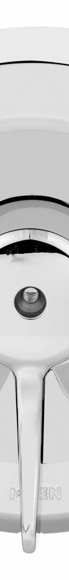 MOEN Trim Kit: Compatible Product Type Commercial Posi-Temp Bathtub and Shower Faucets, Brass (MPN T8370). Key specifications — Compatible Product Type: Commercial Posi-Temp Bathtub and Shower Faucets; Brand: MOEN; Trim Plate Material: Brass; Product Type: Shower Trim Kit; Trim Plate Shape: Circle; Trim Finish/Color: Chrome.