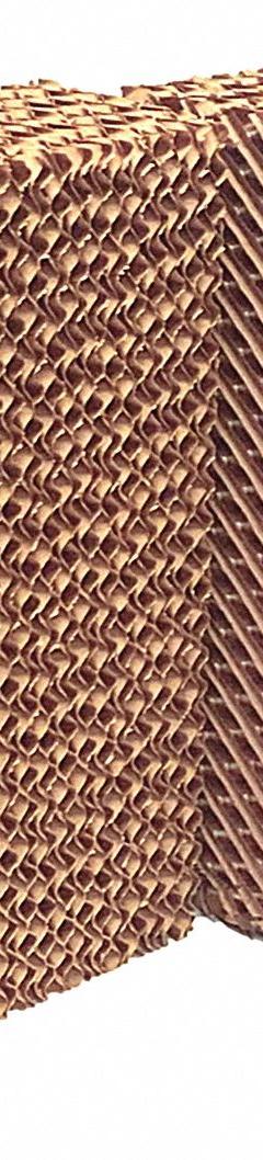 HESSAIRE Evaporative Cooler Media: Cellulose, 22 in x 19 in x 6 in, 22 in Ht, 19 in Wd, 3 Pads, 3 PK (MPN P2200). Key specifications — Brand: HESSAIRE.