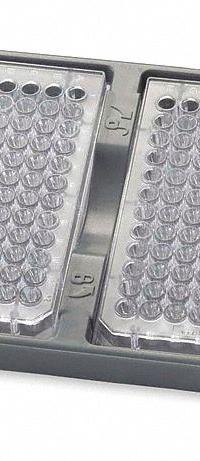OHAUS Double Microplate Holder: Double Microplate Holder, Plastic, 2 Tubes Held (MPN 30400213). Key specifications — Brand: OHAUS; Material: Plastic; Product Type: Double Microplate Holder.