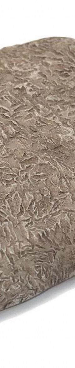 Key Rock Hider: Plastic, Brown, 4 in Dp, Rock Hider (MPN 90691). Key specifications — Brand: LUCKY LINE PRODUCTS; Hider Style: Rock; Color: Brown; Material: Plastic.