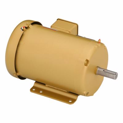 BALDOR General Purpose Motor: Rigid Base Mount, Totally Enclosed Fan Cooled, 2 hp - Rigid Base 3-Phase General Purpose AC Motors