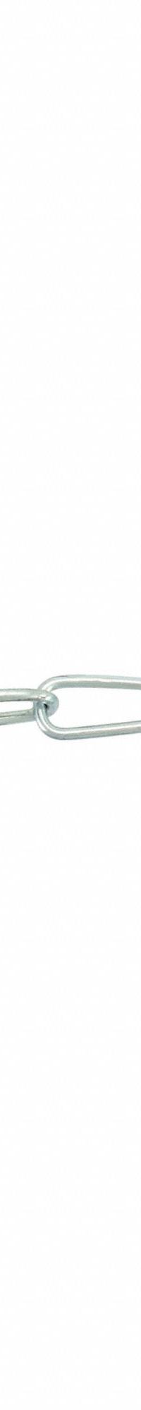 DAYTON Double Loop Chain: 1 in Chain Trade Size, Steel, 155 lb Working Load Limit, Double Loop, Zinc (MPN 2ZDH6). Key specifications — Brand: DAYTON; Item Trade Size: 1.