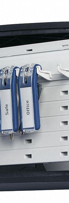 Key Box: 12 Key Capacity, Single Key Lock, Aluminum, Gray, 6 1/4 in Ht, 11 7/8 in Wd, 4 5/8 in Dp (MPN 196023). Key specifications — Brand: DURABLE; Finish: Brushed Aluminum; Includes Key Tags: Includes Key Tags; Includes Mounting Hardware: Mounting Hardware Included; Color: Gray; Mounting Location: Wall; Material: Aluminum.