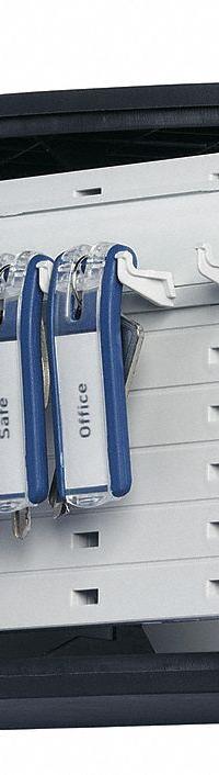 Key Box: 12 Key Capacity, Single Key Lock, Aluminum, Gray, 6 1/4 in Ht, 11 7/8 in Wd, 4 5/8 in Dp (MPN 196023). Key specifications — Brand: DURABLE; Finish: Brushed Aluminum; Includes Key Tags: Includes Key Tags; Includes Mounting Hardware: Mounting Hardware Included; Color: Gray; Mounting Location: Wall; Material: Aluminum.