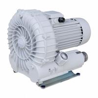 SCHMALZ Vacuum Blower: 230 cu m/hr, 60 mm, 1 1/2 in G Female, 10.04.01.00071, SB, 6.9/3.45/6.85 A. Key specifications — attr123938: 10.04.01.00071; attr1014957: 230/460V; attr1014966: 6.9/3.45/6.85 A.