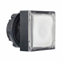 SCHNEIDER Flush Push Button: 22 mm Mounting Size, Non-Metallic, Maintained (MPN ZB5CH313). Key specifications — Brand: SCHNEIDER; Action: Maintained; Series: XB5; Push Button Material Type: Non-Metallic.